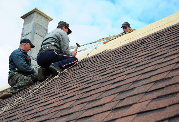 Quick and Trustworthy Emergency Roof Repair Services in Blackshear, GA